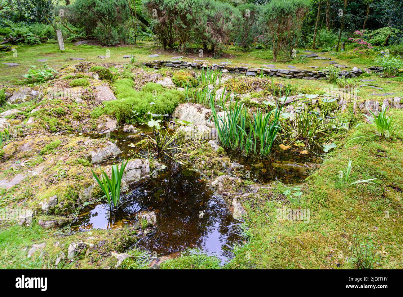 Pond in a rocky, moss covered garden Stock Photo Alamy