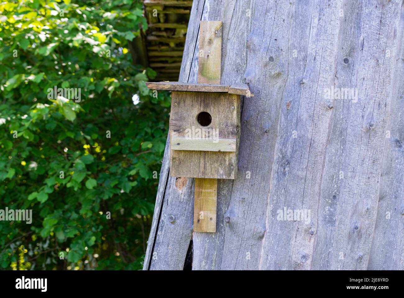 Beautiful view of Wooden Stud Wall Cage Attachment For Pets