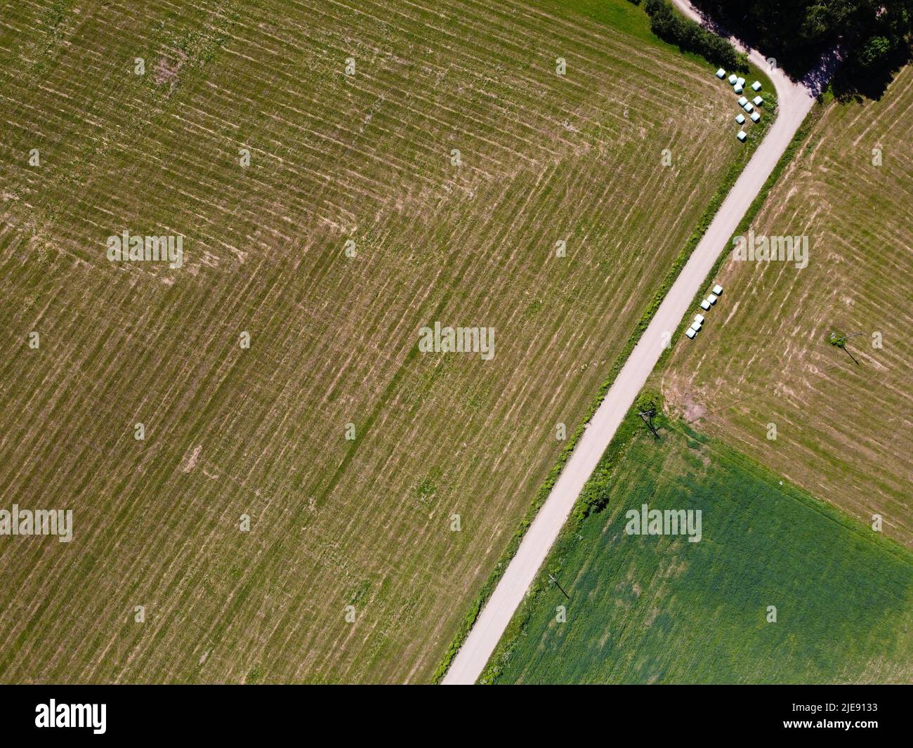 country road with cut crop and hay rolls, top view, aerial view Stock Photo