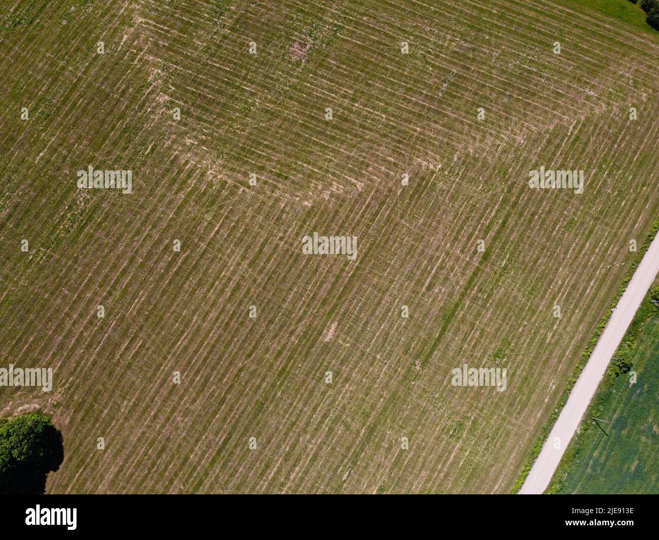 country road with cut crop and hay rolls, top view, aerial view Stock Photo
