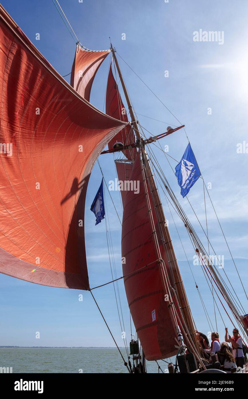 Looking up at the tan sails of the traditional gaff cutter 'Jolie Brise', sailing on the Solent, Hampshire, UK Stock Photo