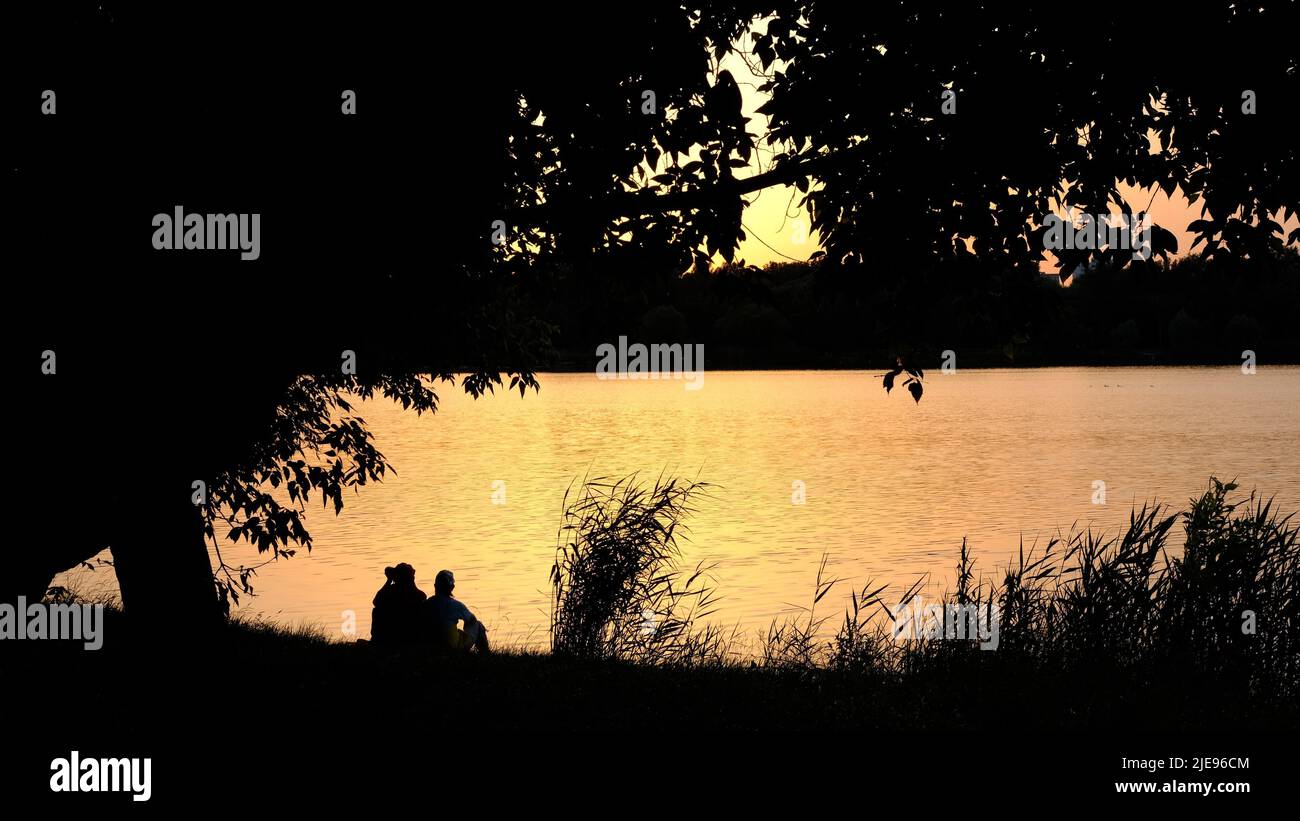 Romantic teenage couple tree in hi-res stock photography and images - Alamy