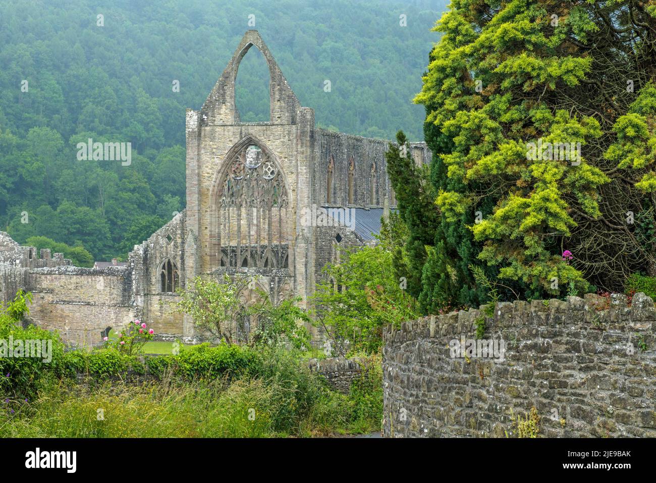 An unusual view of the east end of Tintern Abbey in Tintern in the Wye Valley on a grey but intriguing day in the county of Monmouthshire Stock Photo