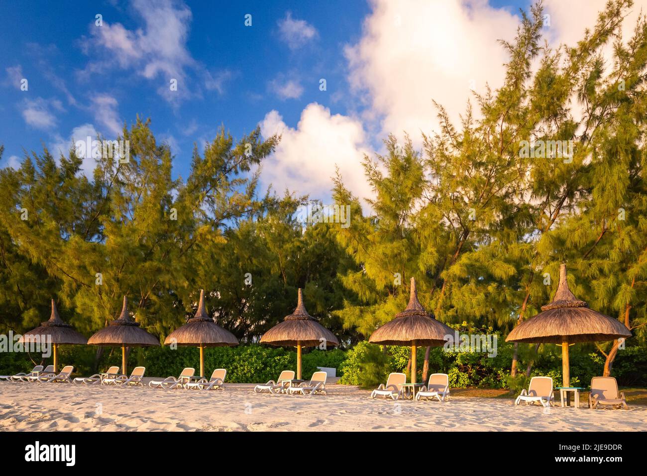 Public beach with lounge chairs and umbrellas, Mauritius island, Africa Stock Photo