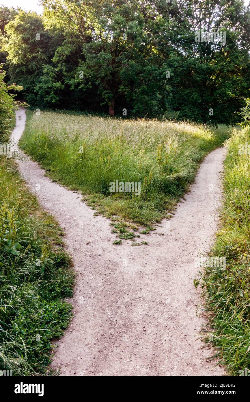 pathway divides Stock Photo