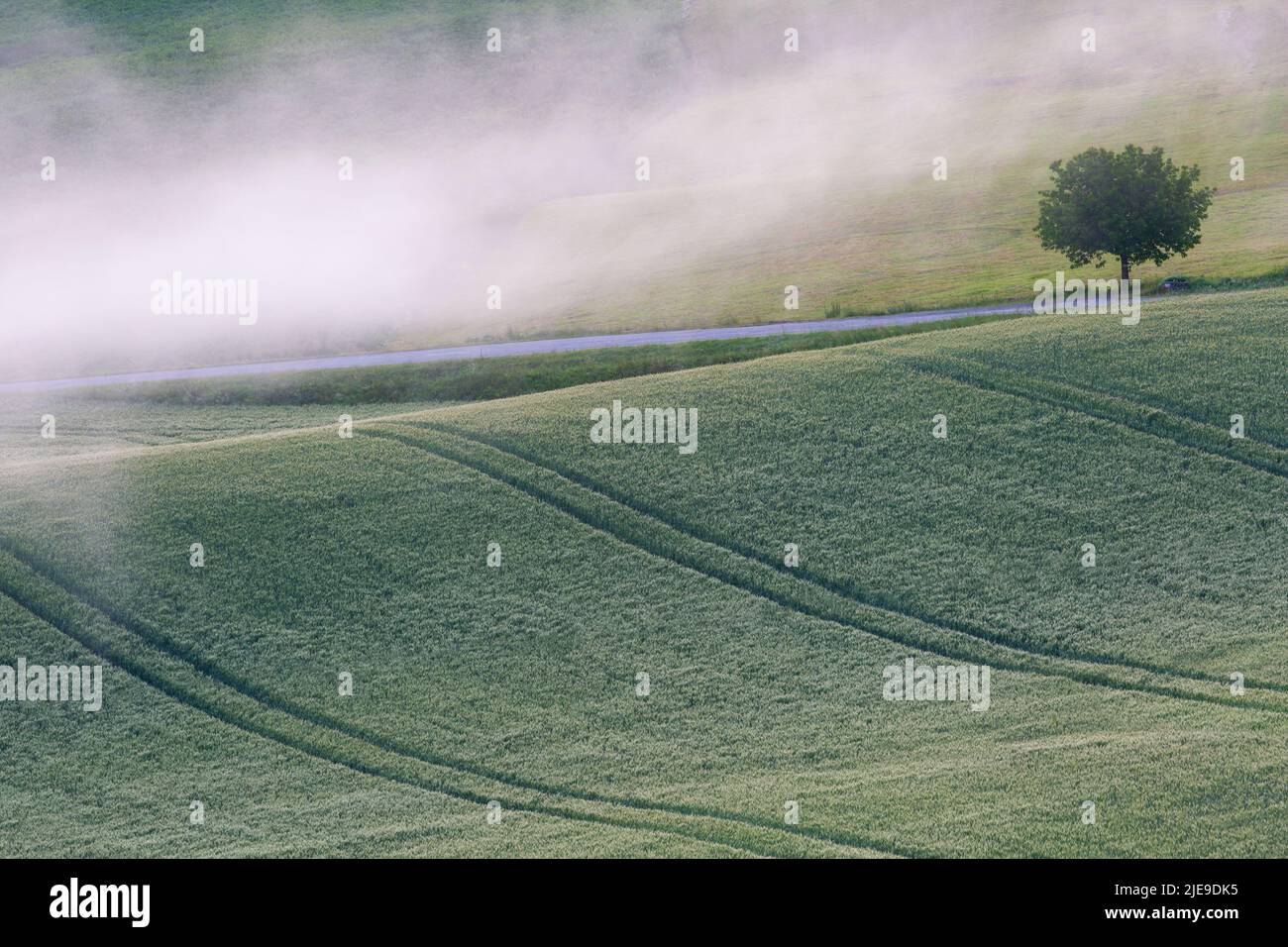Foggy fields at Turcianske Jaseno village, Slovakia. Stock Photo
