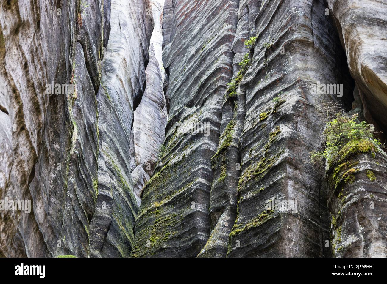 Rock towers and walls in the Adrspach-Teplice Rocks Nature Reserve, Czech Republic Stock Photo