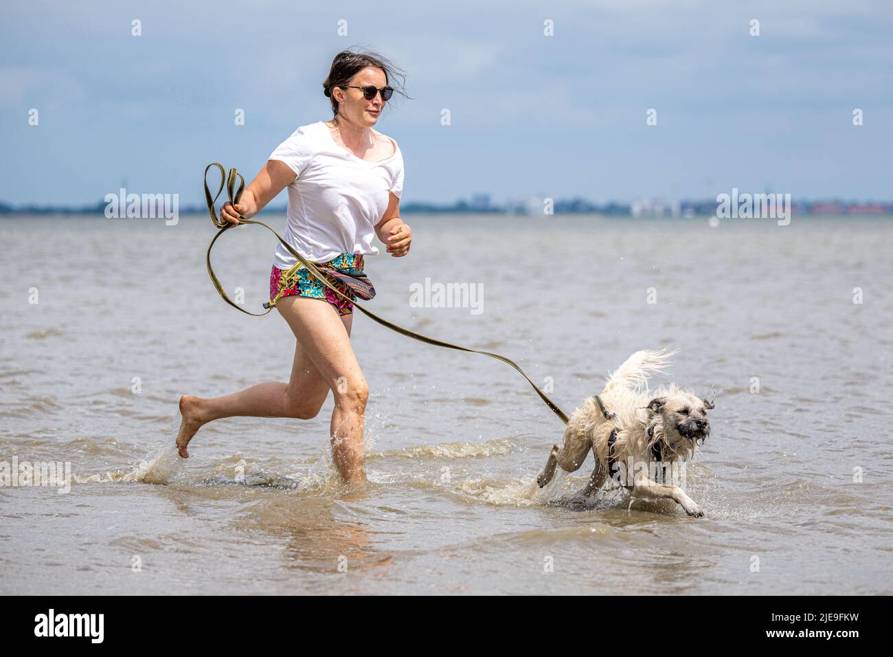 Animalm hires stock photography and images Alamy