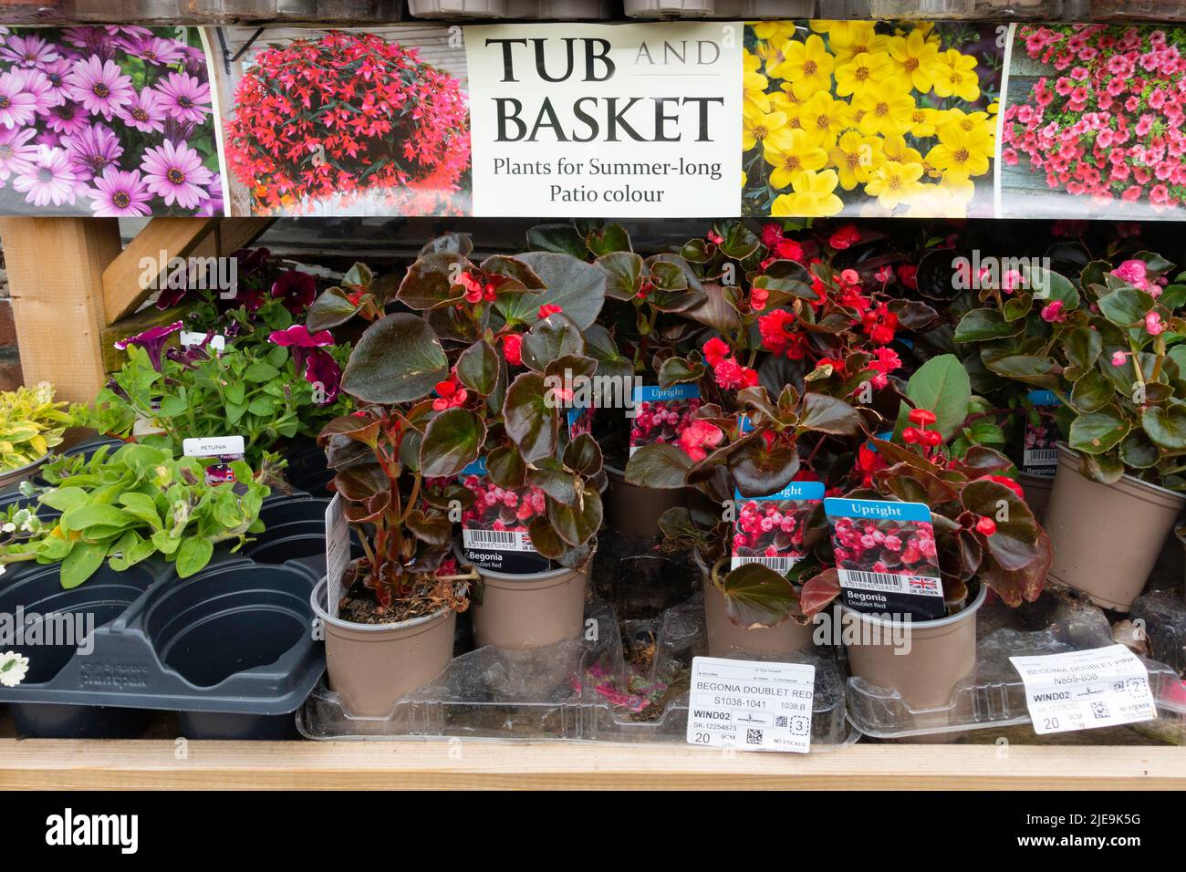 A display of Tub and Basket plants   in a garden centre for summer long patio colour Stock Photo