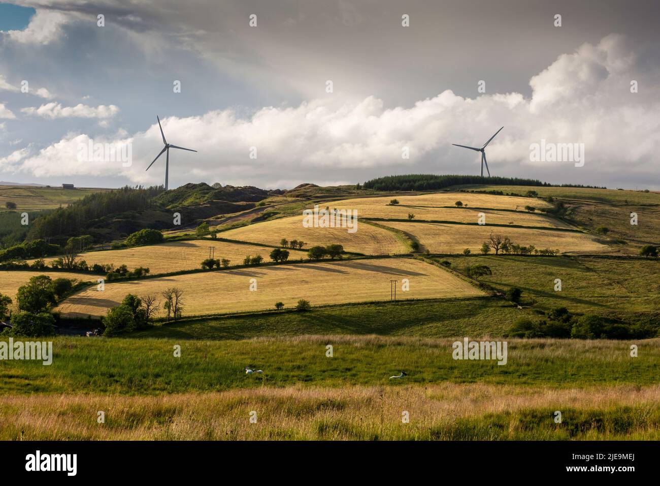 Wind turbines and farm land on Gwrhyd mountain in the Swansea Valley, South Wales UK Stock Photo