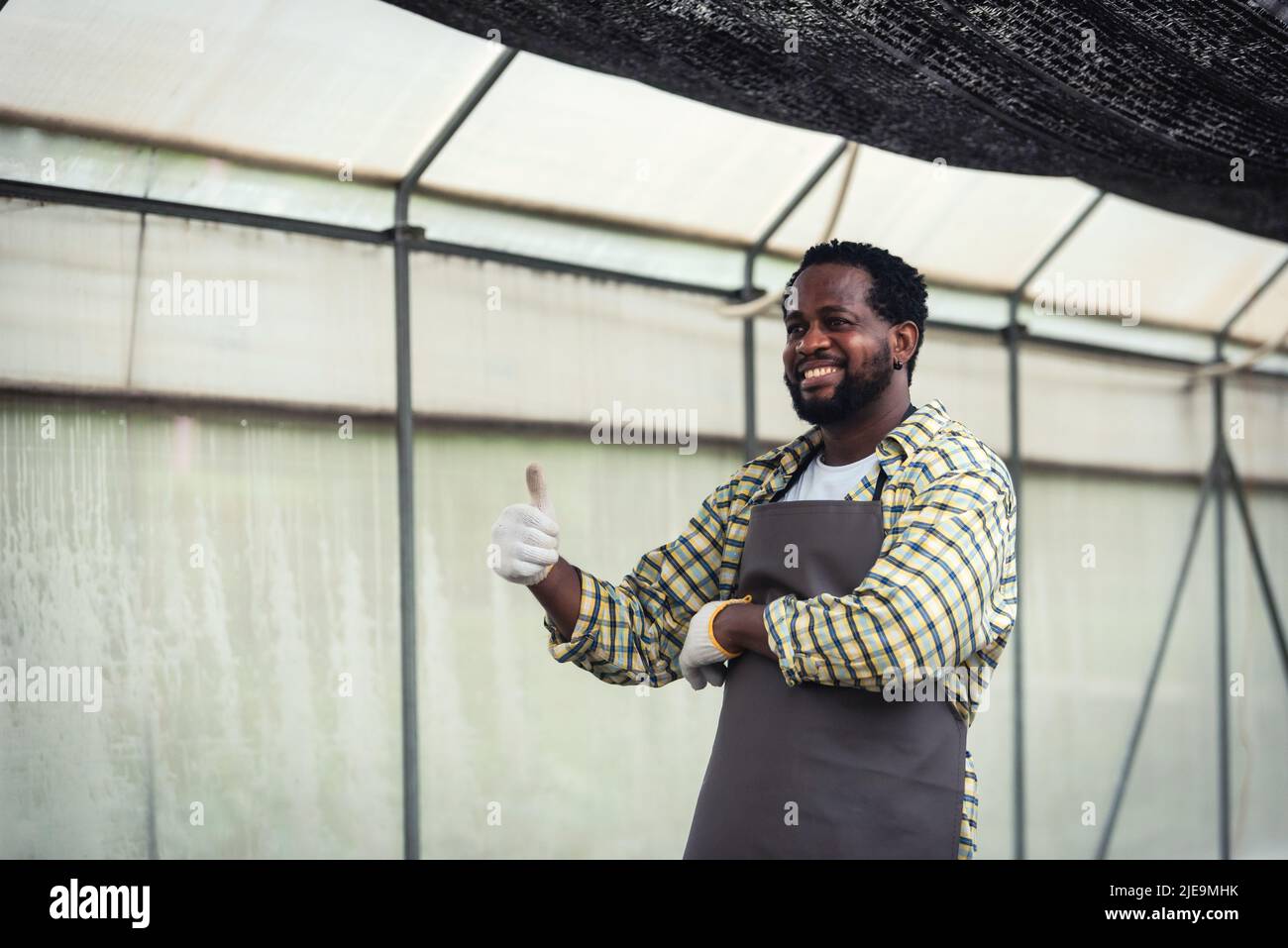 Portrait of Smiling African man farmer holding a crate of fresh plant ...