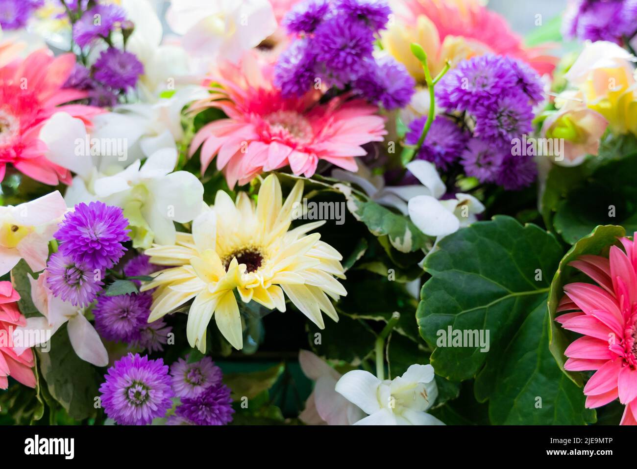 Simple and beautiful flower arrangements, orchids, chrysanthemums, amaranths Stock Photo
