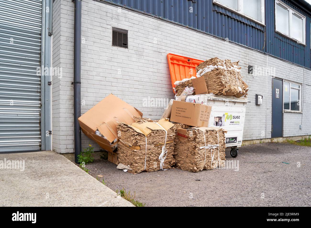 Compacted bales of waste paper and cardboard for recycling Stock Photo