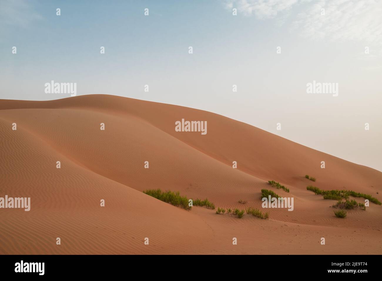 Sand dune hills against a bright blue sky in Al Wathbah Desert in Abu Dhabi, United Arab Emirates. Beautiful landscape for horizontal copy space. Stock Photo