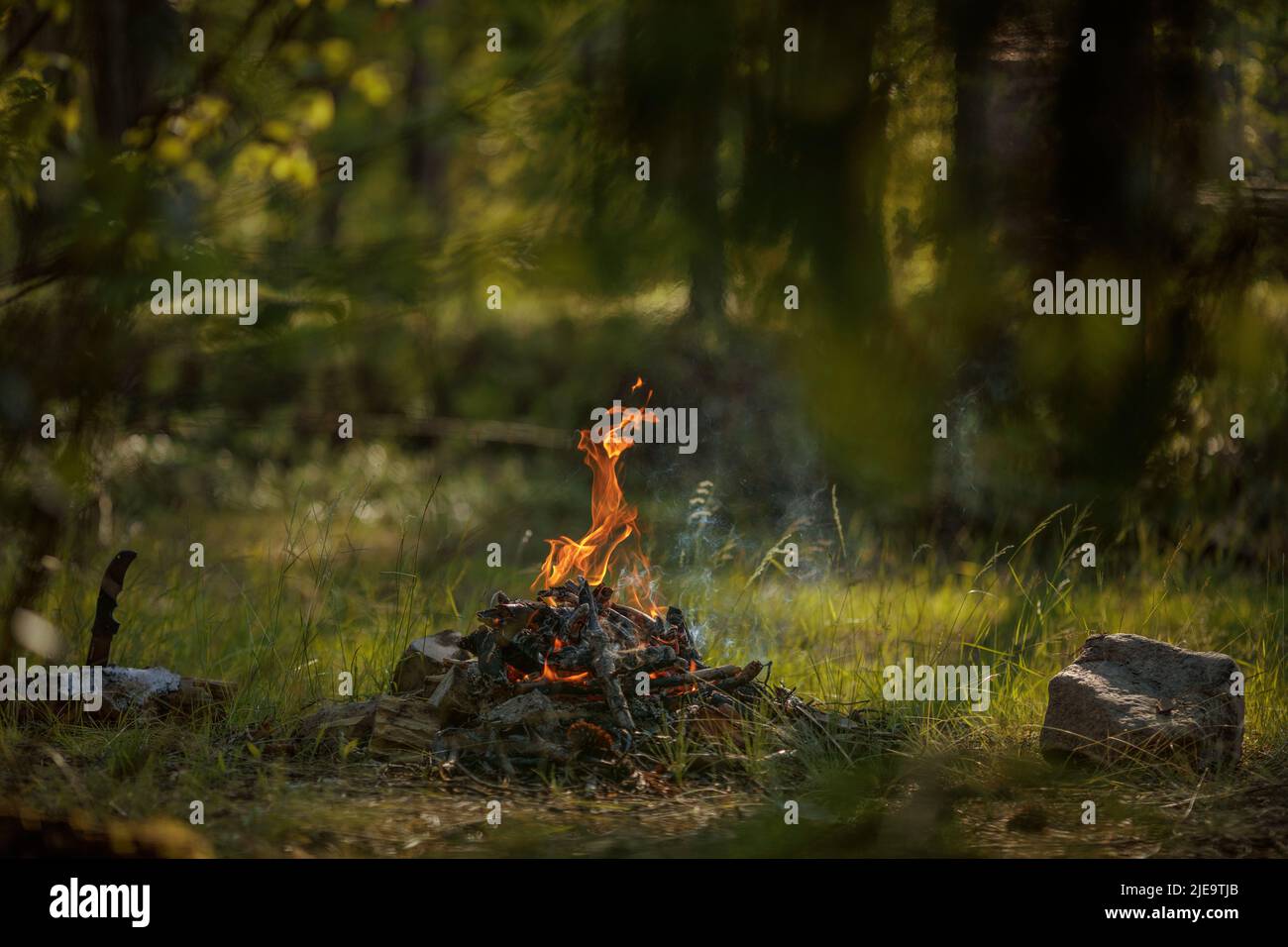 Close up of burning timber bonfire in summer forest. The concept of ...