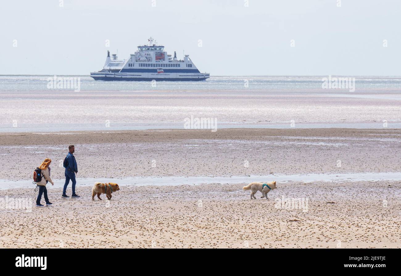 Tourists with dogs running on the beach  on Juni 21, 2022  in Wyk, Foehr Island, Germany.  © Peter Schatz / Alamy Stock Photos Stock Photo