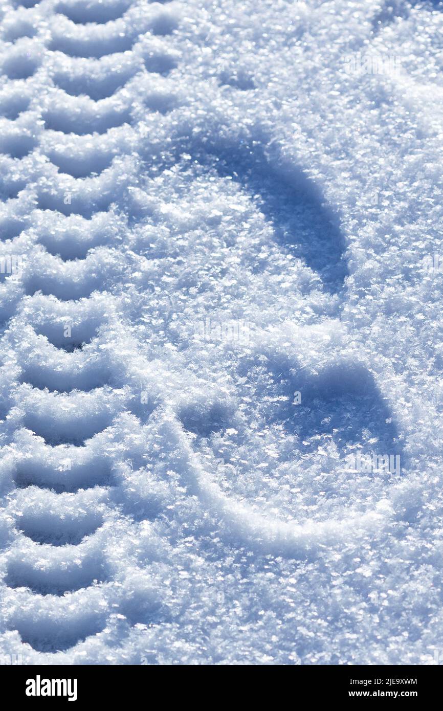 A winter road with shoe footprints, tracks wheel tire tread on white blue fluffy snow background. Fragment of the snowy surface of the earth after the Stock Photo