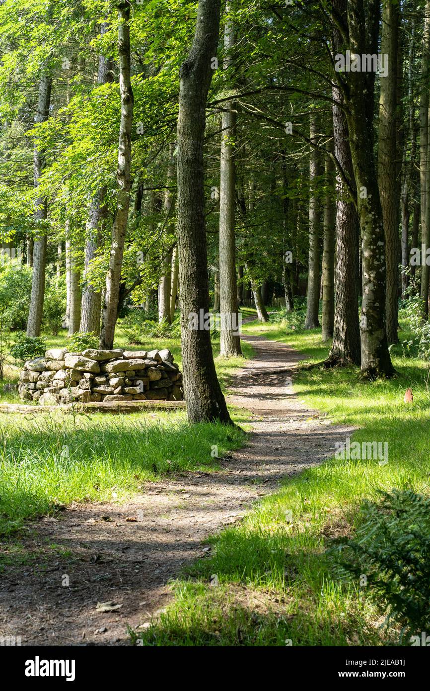 Woodland path in castle hi-res stock photography and images - Alamy