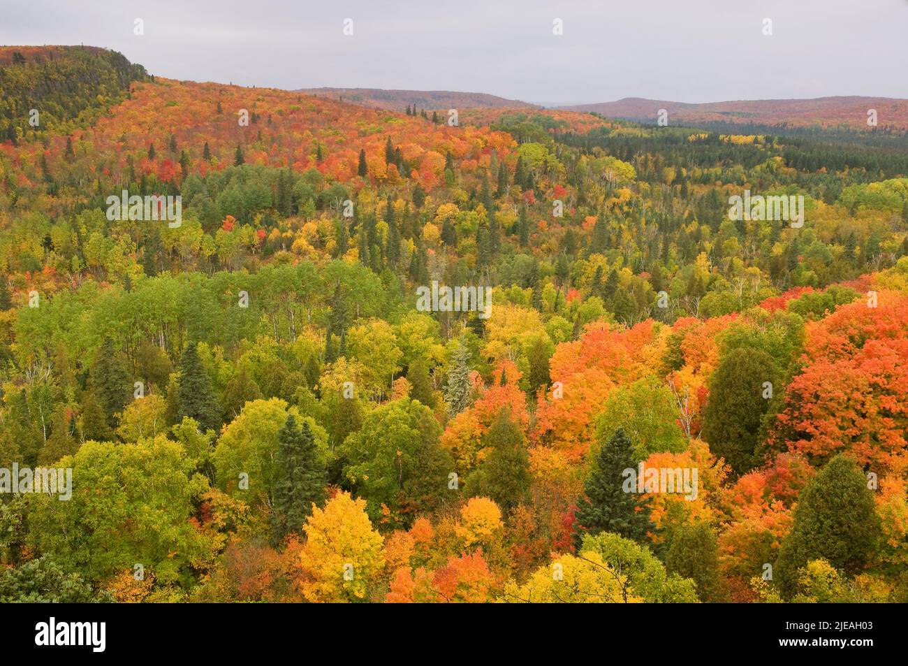 Autumn, Sawtooth Mountains, Superior National Forest, Minnesota, USA by Gary A Nelson/Dembinsky Photo Assoc Stock Photo