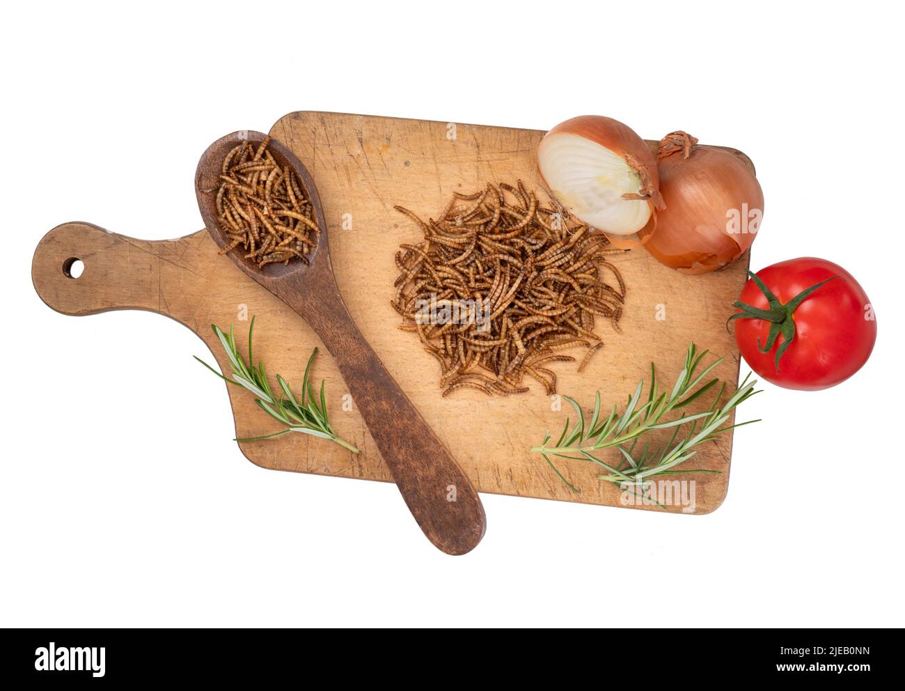 Cooking with mealworms, insect protein, with onion, tomato and rosemary. Ingredients isolated on white. Stock Photo