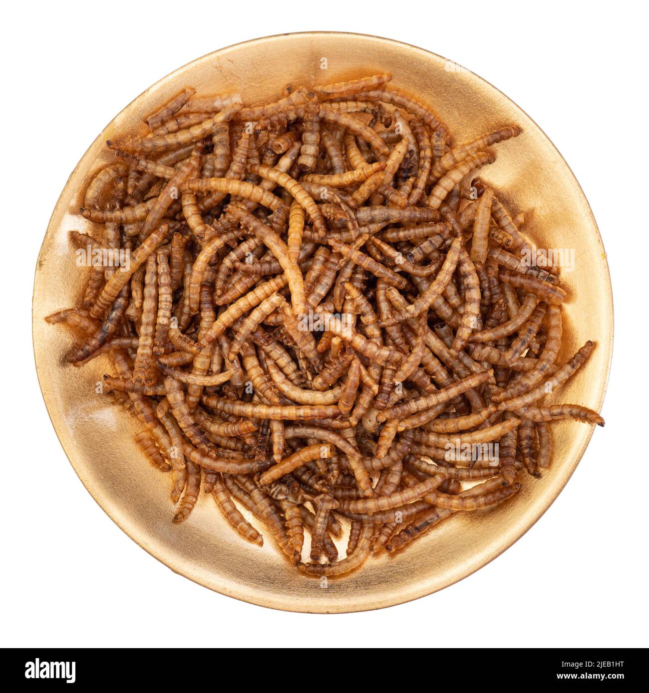 Mealworms in gold rustic bowl isolated on white. Stock Photo