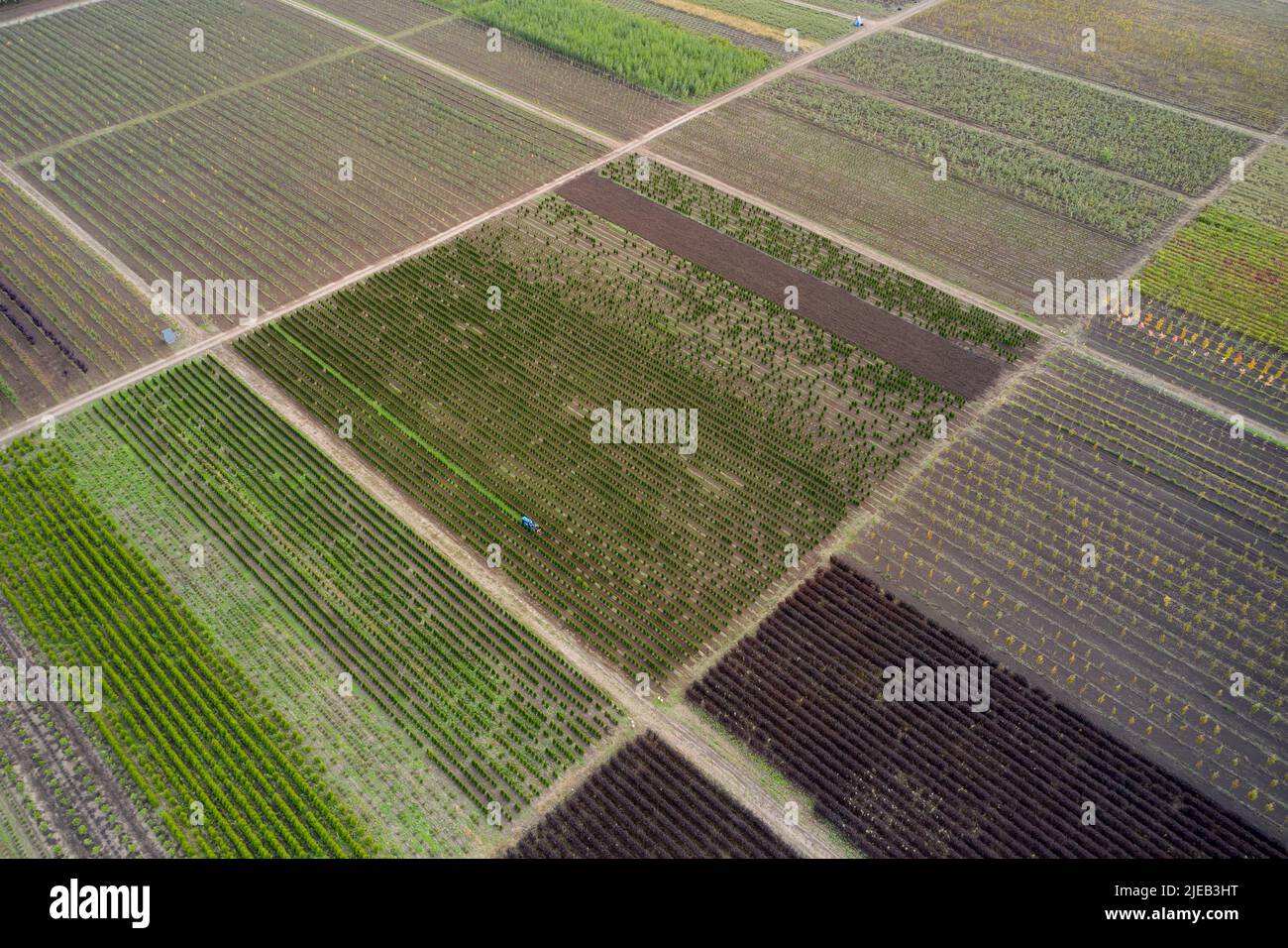 Aerial view of nursery with trees and plants. Stock Photo