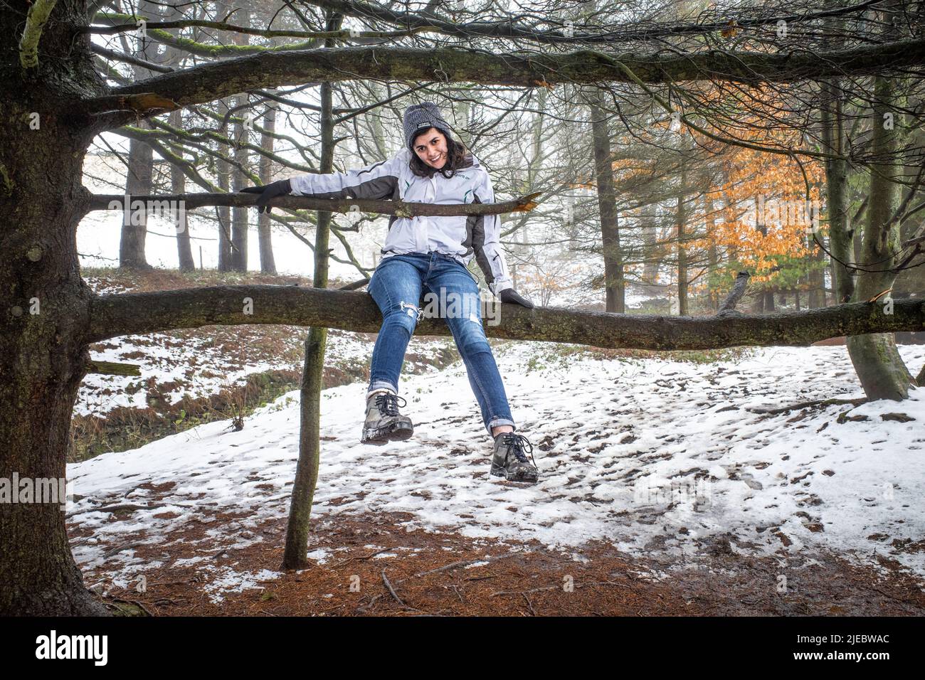 not a natural climber Stock Photo Alamy
