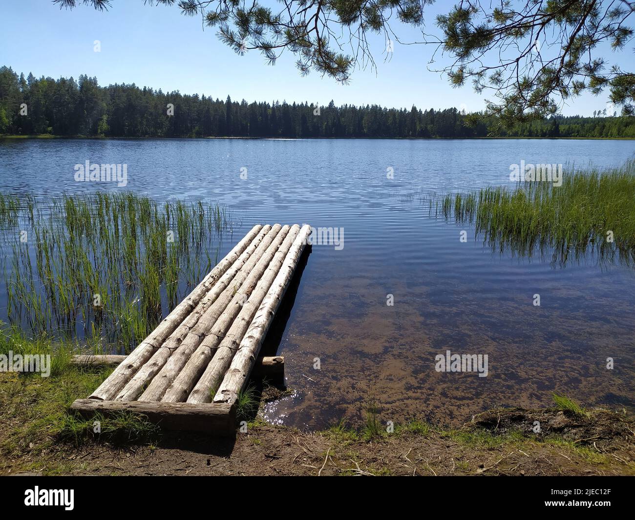 Озеро местное. Пустынские озера арзамасского района. Озеро местное. Озеро местное. Озеро шарташ свердловская область.