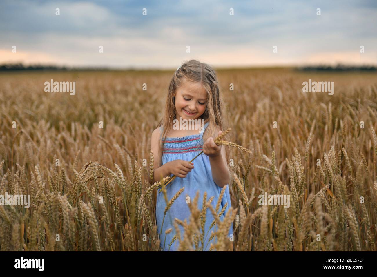 Girl in the wheat field at a sunset Stock Photo - Alamy
