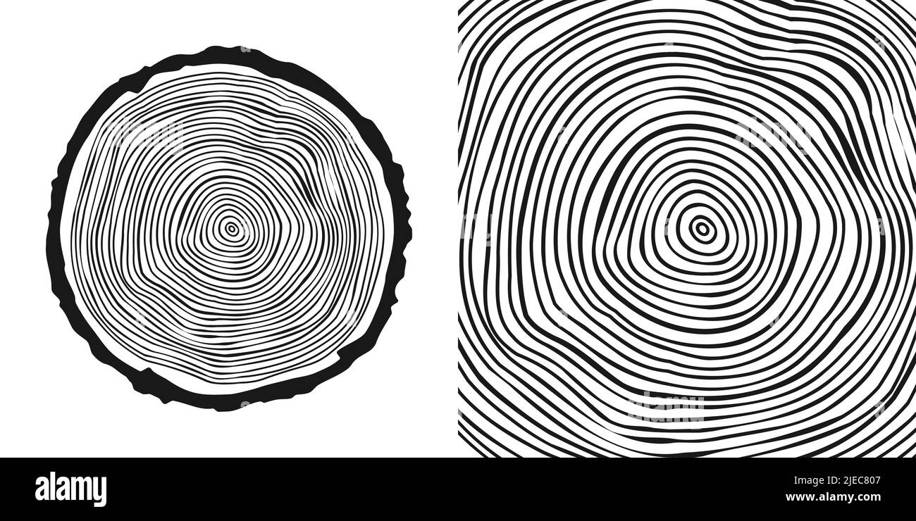 Round tree trunk cut, sawn pine or oak slice. Saw cut timber, wood