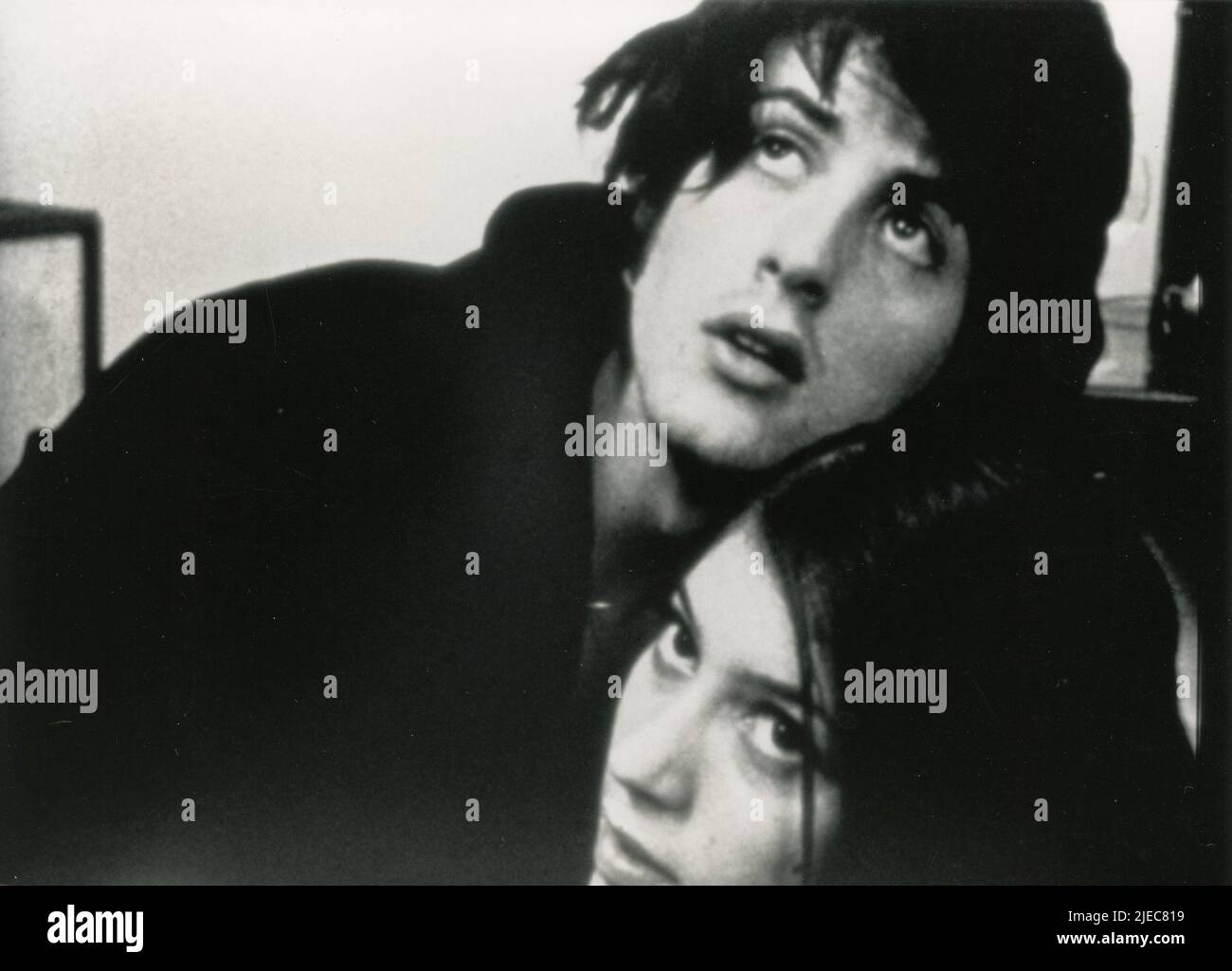 Italian stallion film hi-res stock photography and images - Alamy