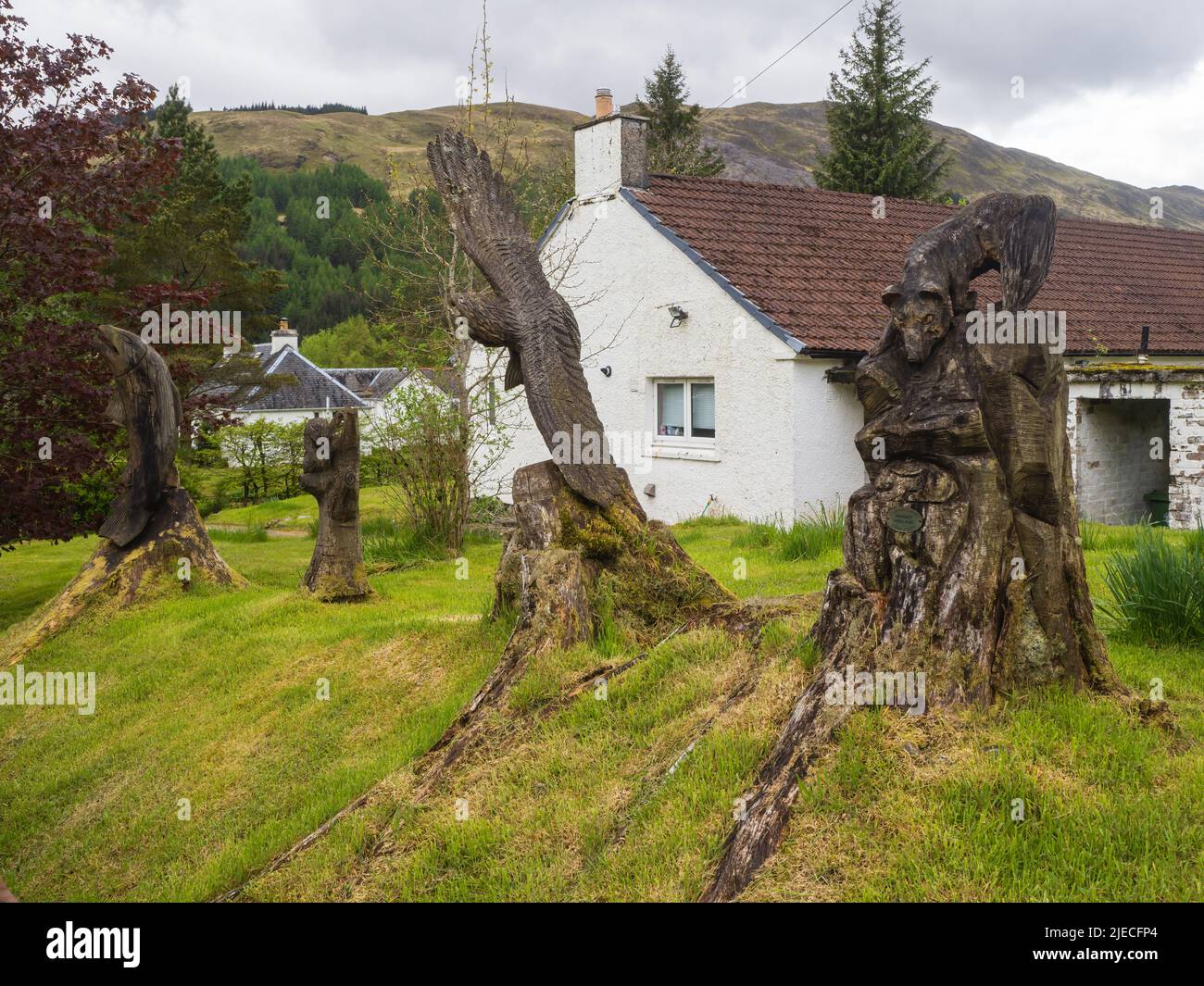 19.05.2022 Tyndrum, Stirling, Scotland, UK. Aproaching Tyndrum from Bridge of orchy on the West Highland way here are wooden carvings Stock Photo