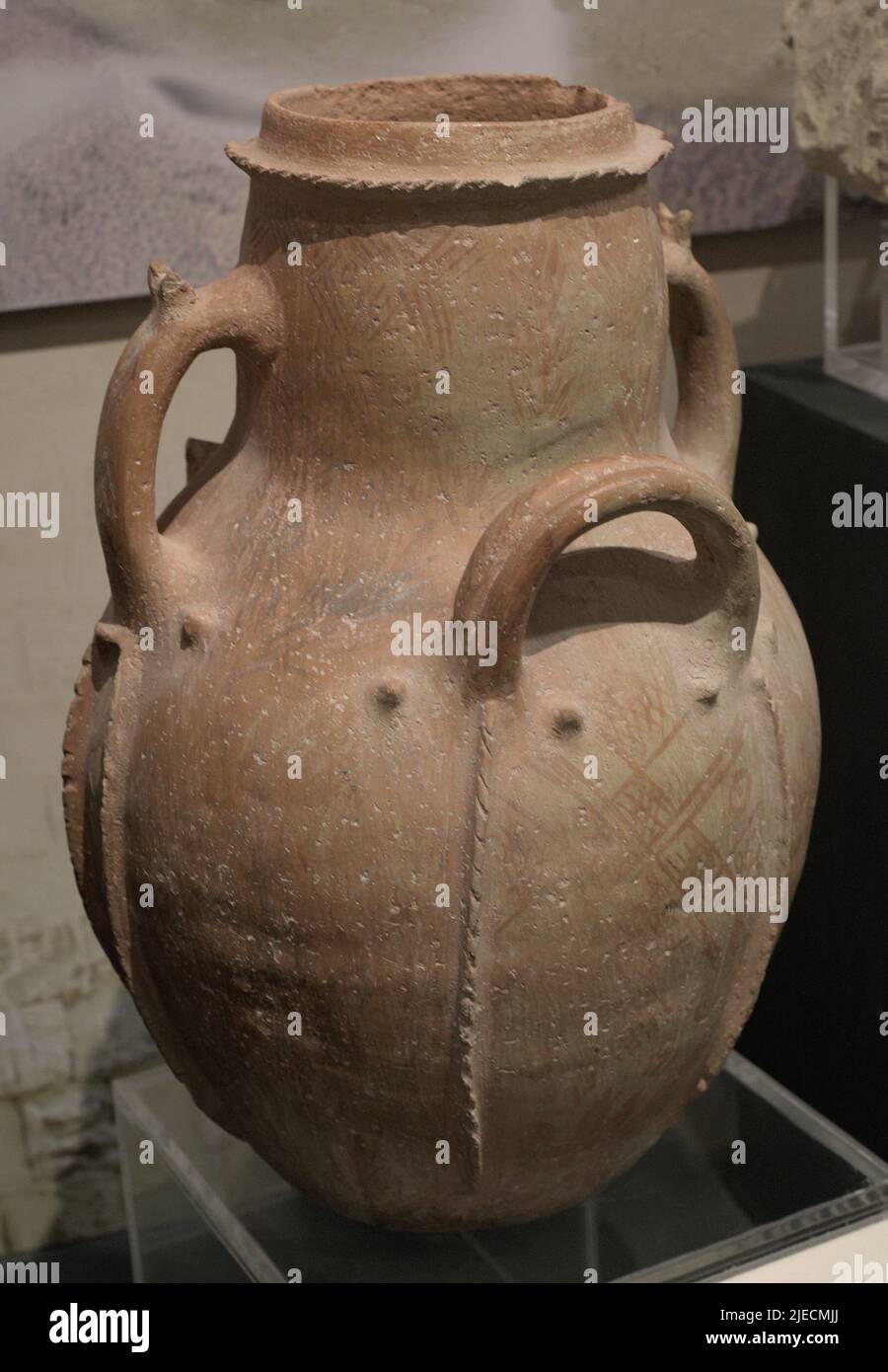 Medieval amphora of unknown provenance. Gozo Museum of Archaeology. Cittadela of Victoria in Gozo. Malta. Stock Photo