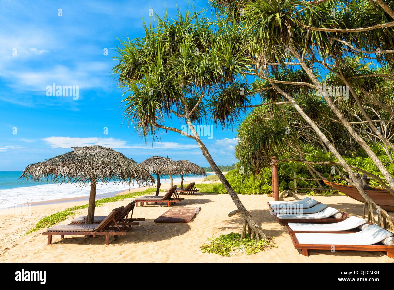 Resort beach view, sunbeds and umbrellas on tropical ocean coast, Sri Lanka. Scenic view of sea sand shore with vacant beds and palm trees. Idyllic la Stock Photo