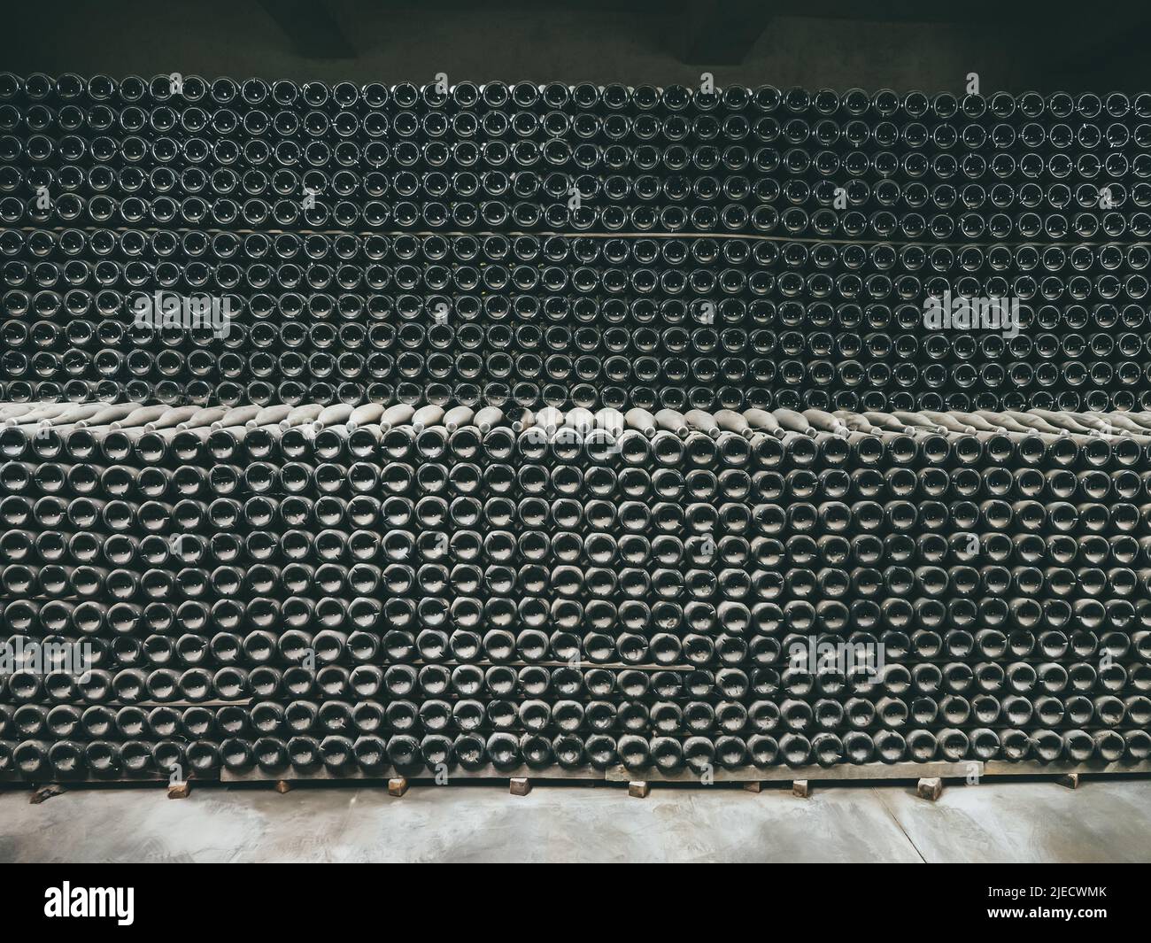 Old wine bottles covered with dust in winecellar close up. Stock Photo