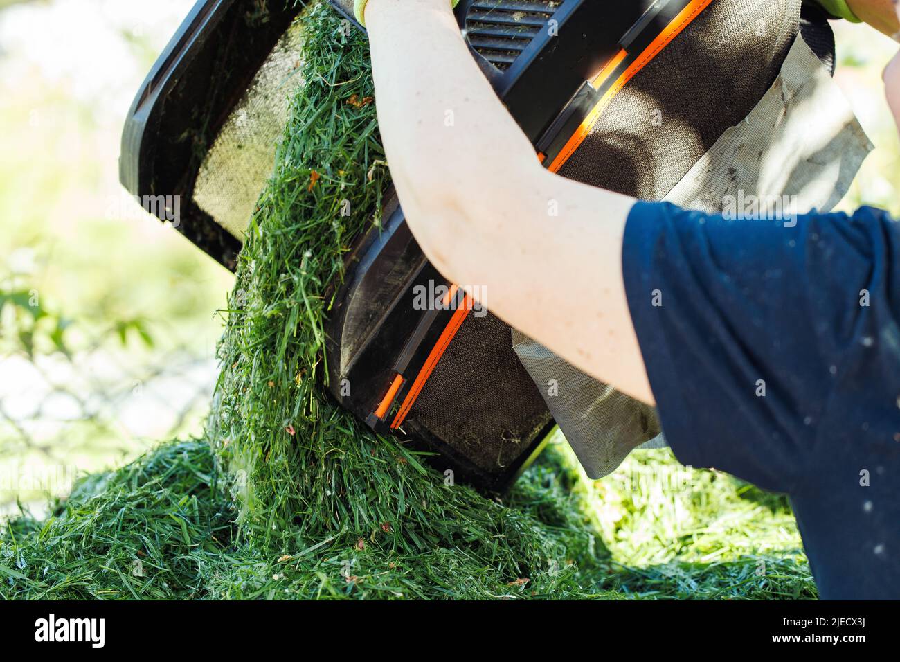 Closeup of human hands throwing green cut green grass from lawn mower