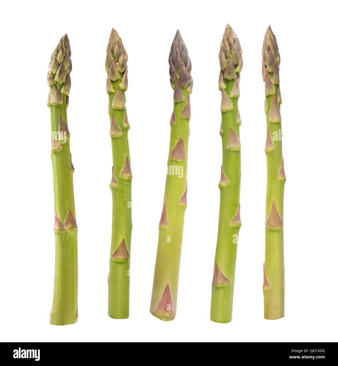 Fresh asparagus  isolated on white background Stock Photo