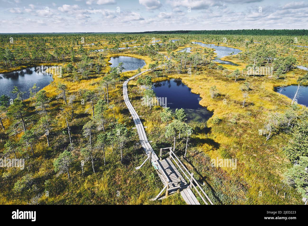 Boardwalk on the raised bog, view from the observation tower. Kemeri National park in Latvia. Summer Stock Photo