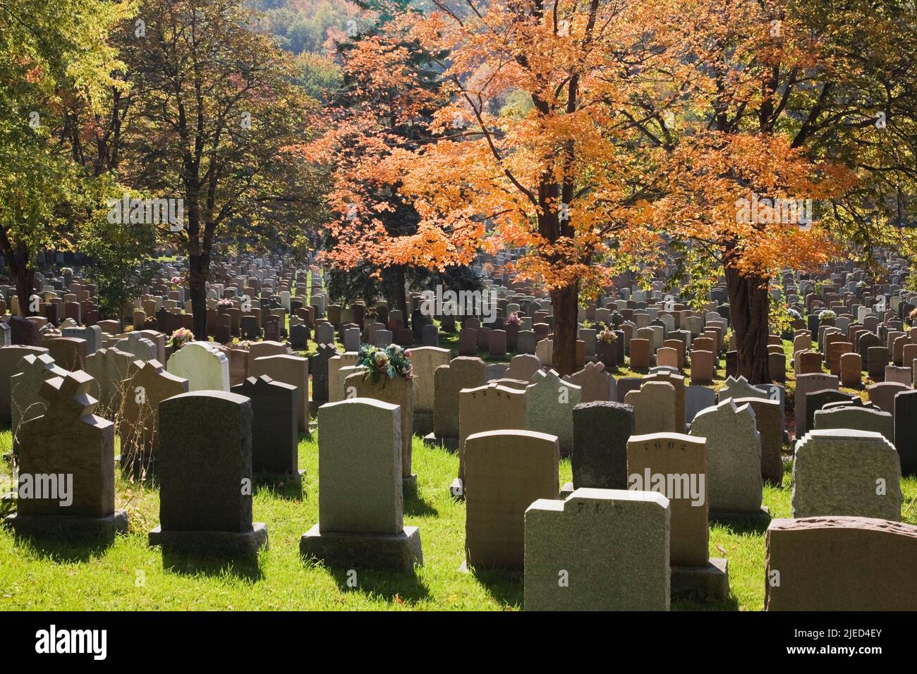 Rows of gravestones in Notre-Dame-des-Neiges cemetery on Mount Royal in autumn, Montreal, Quebec, Canada. Stock Photo