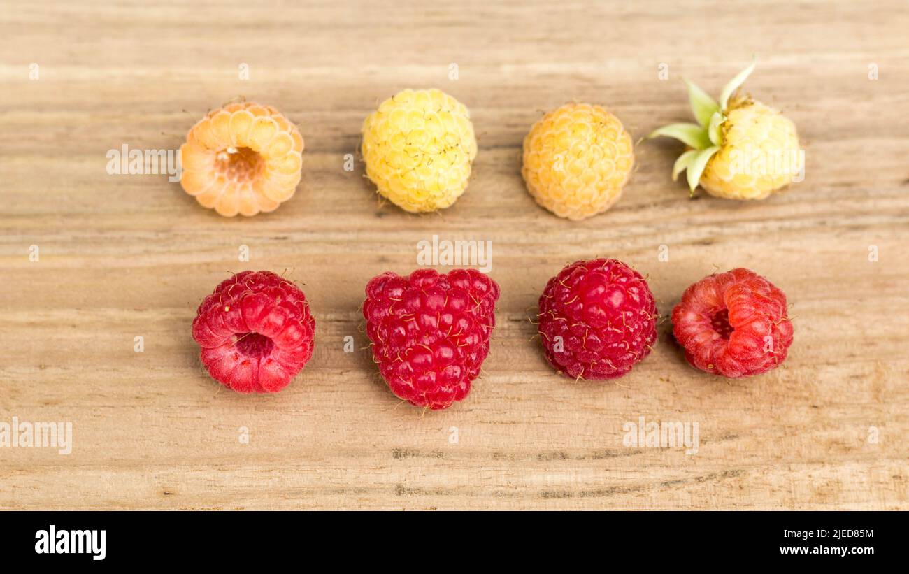 Yellow (Golden) and Red Raspberries Together on Wooden Board. Top view, fruits background. Stock Photo