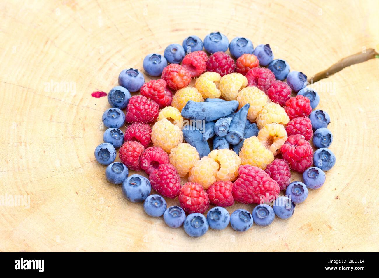 Yellow (Golden) Raspberries, Red Raspberries, Honeyberry (Lonicera Caerulea var. Kamtschatica) and Blueberry (Vaccinium Corymbosum) Fruit Together on Stock Photo