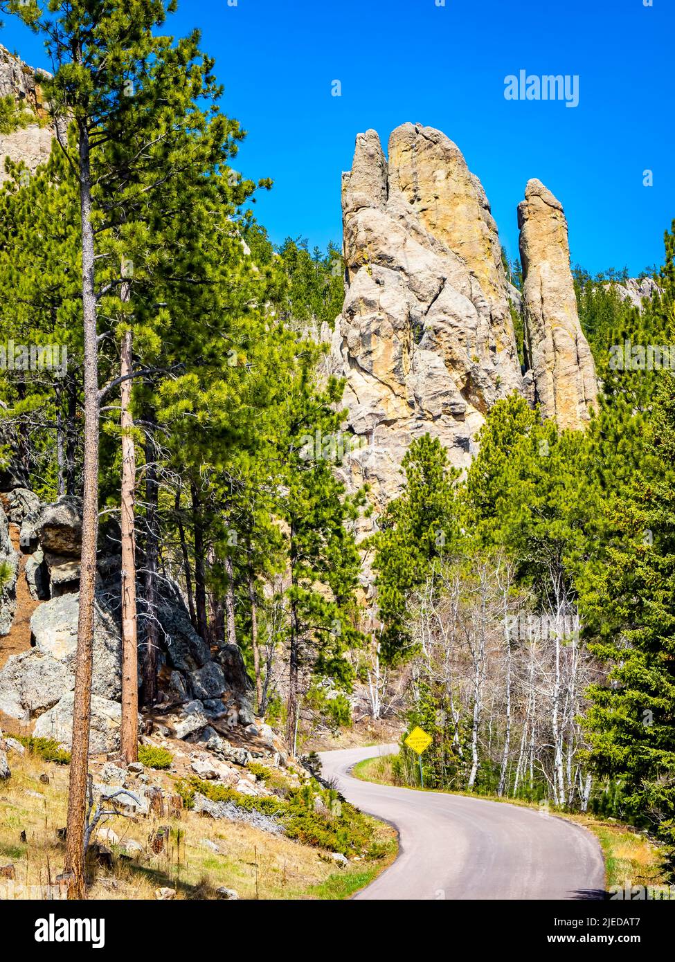 Needles Highway in Custer State Park in the Black Hills of South Dakota USA Stock Photo