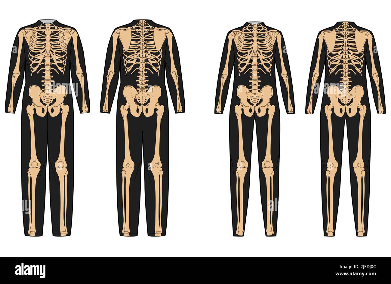 Set of Skeleton costume Human bones on bodysuit front back view men women for Halloween, festivals, printing on clothes for Day of the dead flat black beige color concept Vector illustration isolated Stock Vector