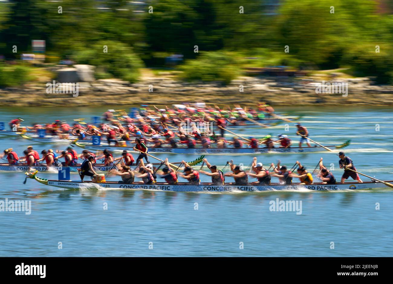 Vancouver, British Columbia, Canada – June 25, 2022. Vancouver Dragon Boat Festival. Dragonboat teams race in the sunshine on the calm water of False Stock Photo