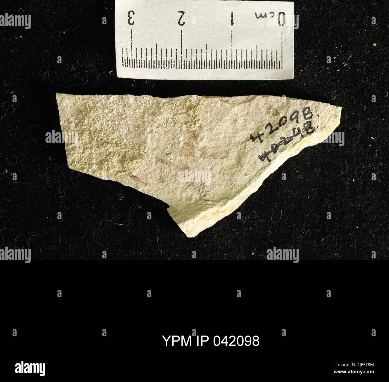 C M Peterson co square ruler (JAS) C M Peterson co square ruler (JAS)