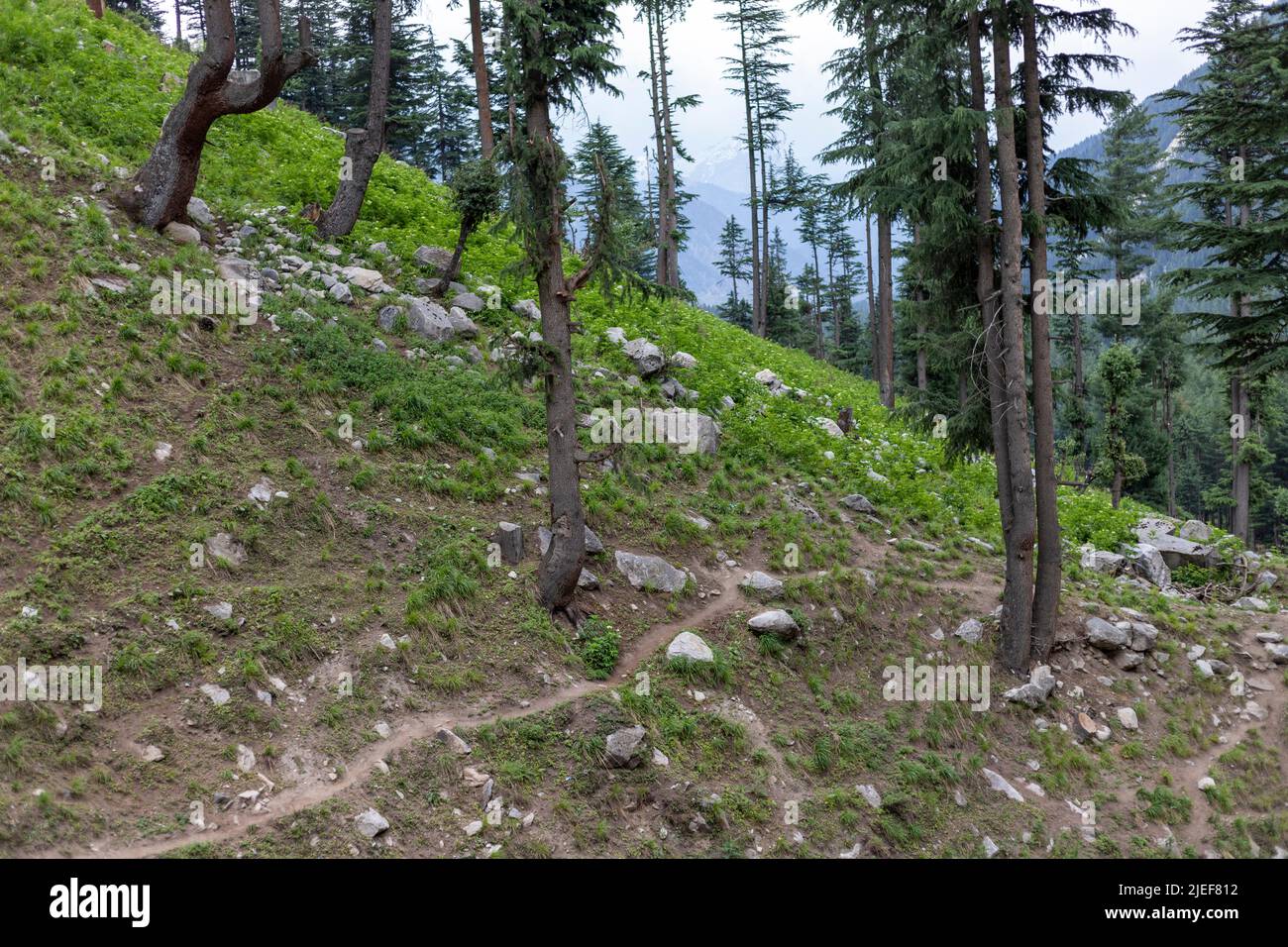 Hiking track in kumrat valley mountains Stock Photo