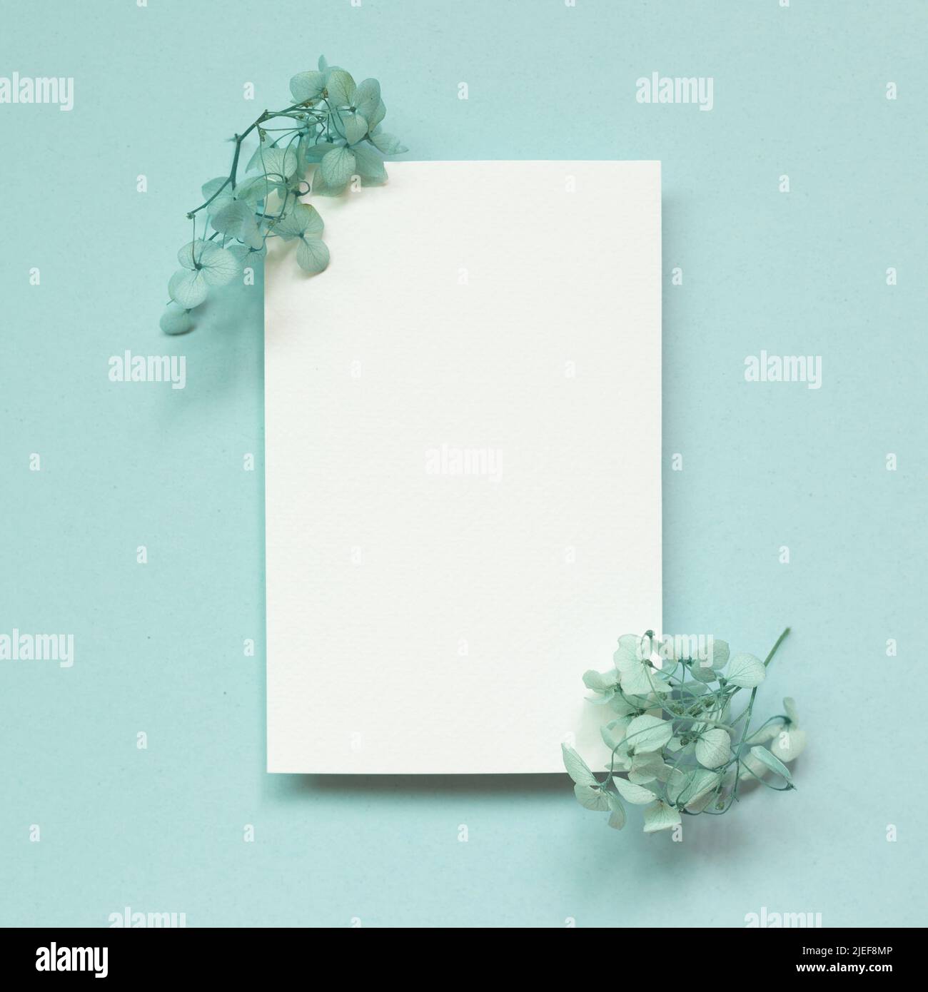 Blank white memo paper with dry flowers on blue background. top view, copy space Stock Photo