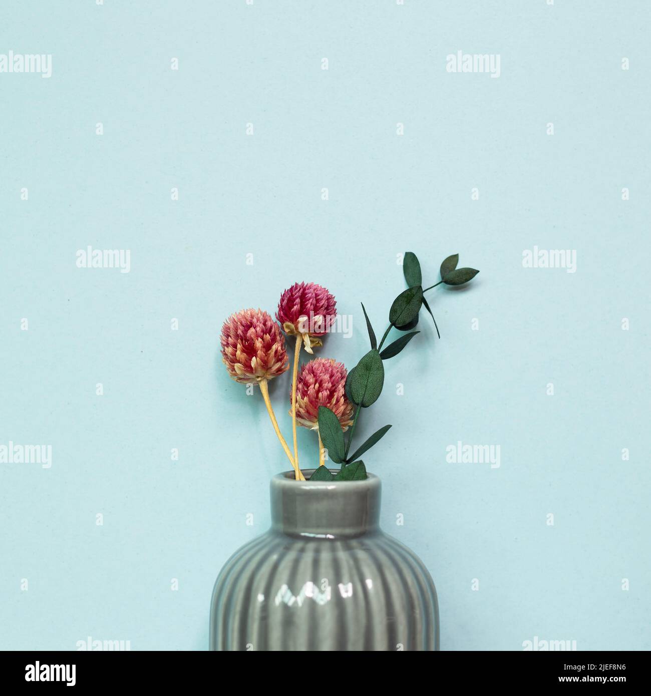 Vase of dry flowers on blue background. top view, copy space Stock Photo