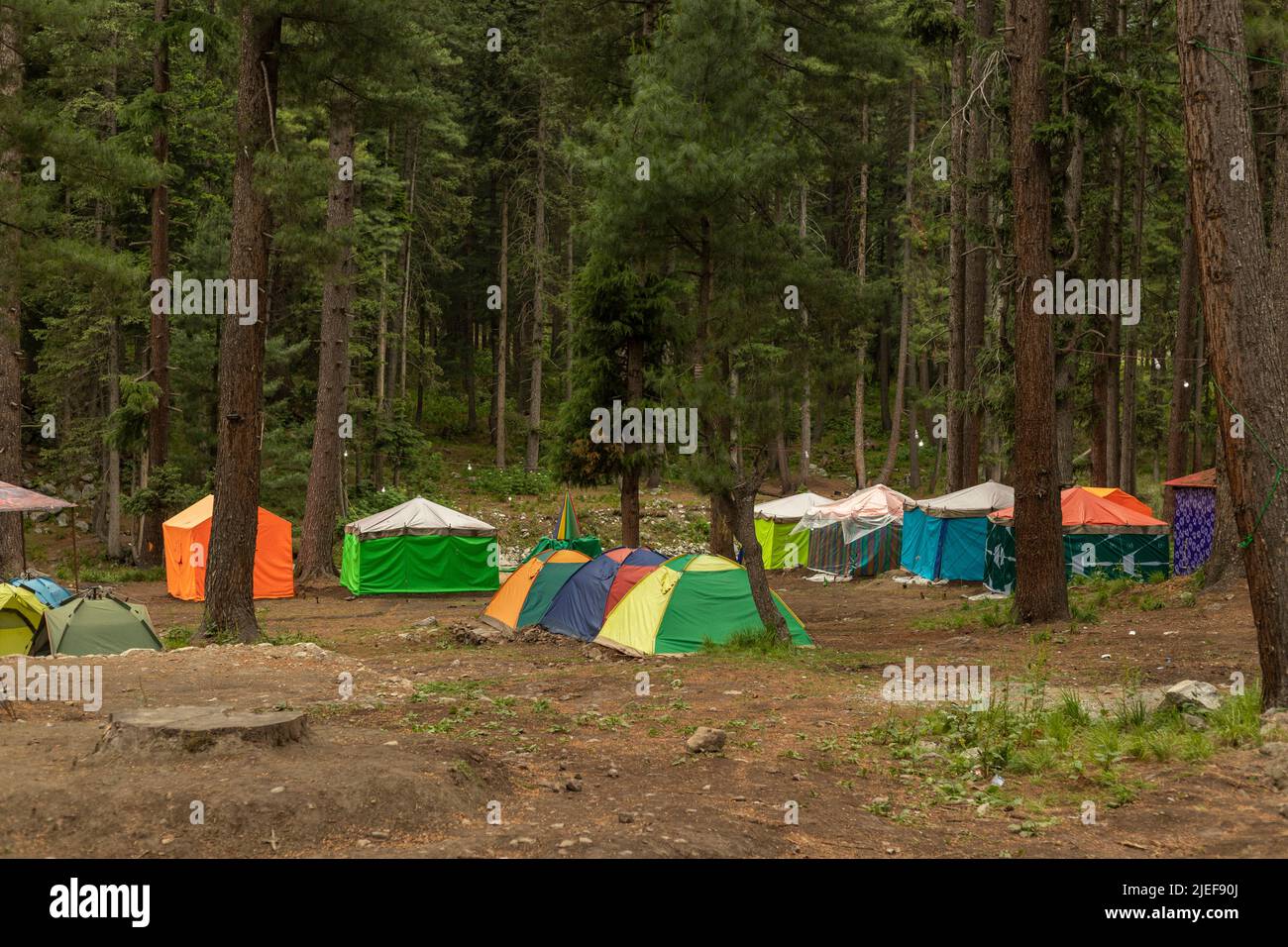 Camping in tents in Kumrat valley forest, Pakistan Stock Photo