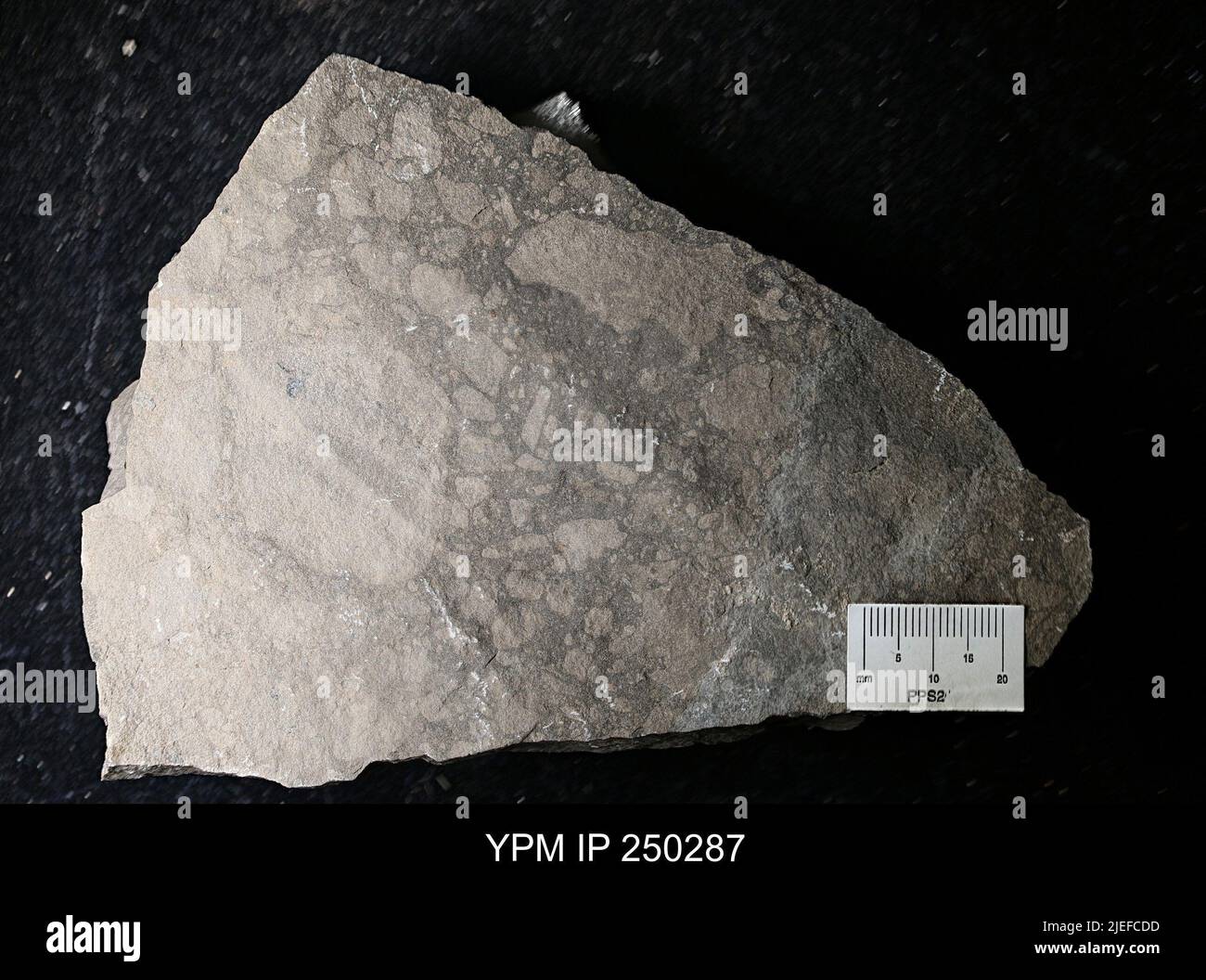 Igneous rock sample hi-res stock photography and images - Alamy